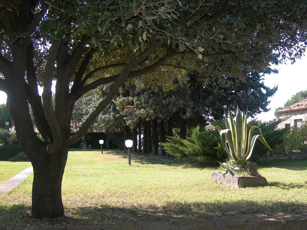 Tenuta Di Pontesodo Montalto di Castro Buitenkant foto