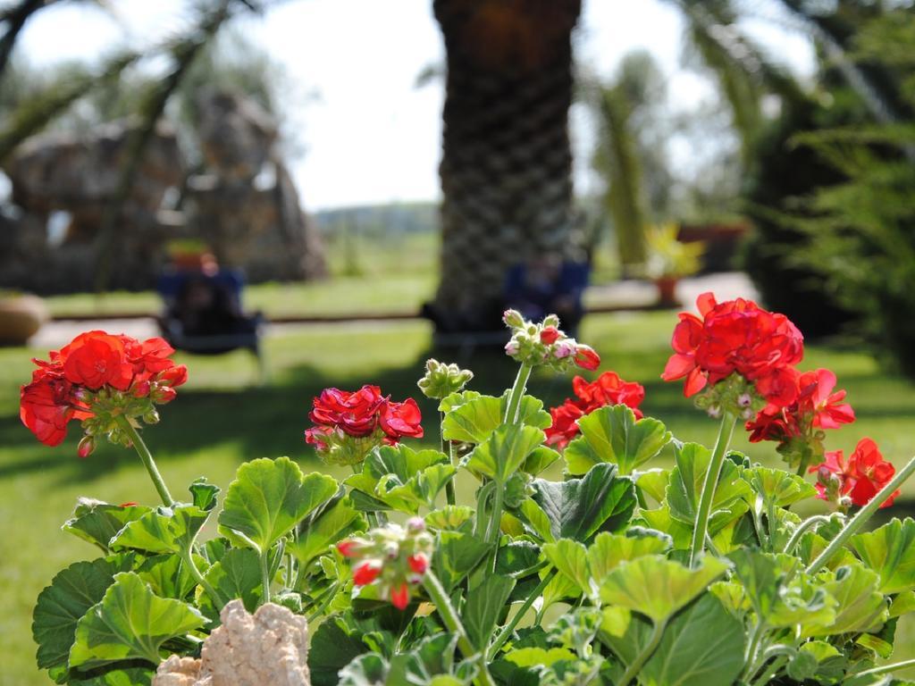 Tenuta Di Pontesodo Montalto di Castro Buitenkant foto
