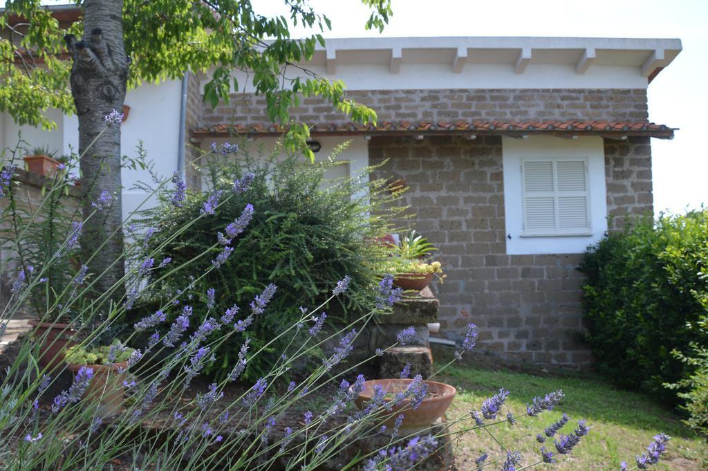 Tenuta Di Pontesodo Montalto di Castro Buitenkant foto