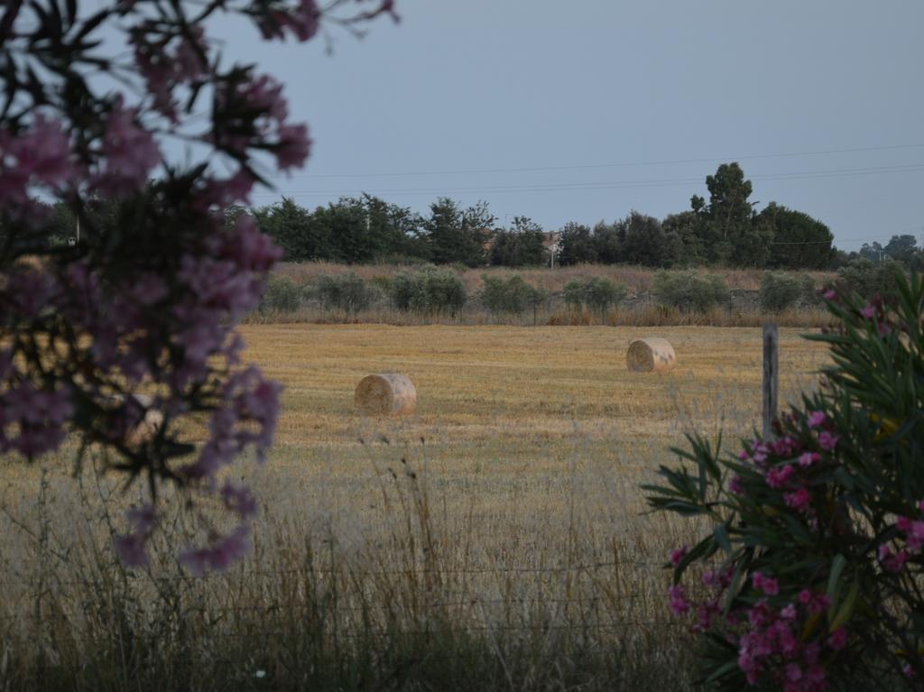 Tenuta Di Pontesodo Montalto di Castro Buitenkant foto