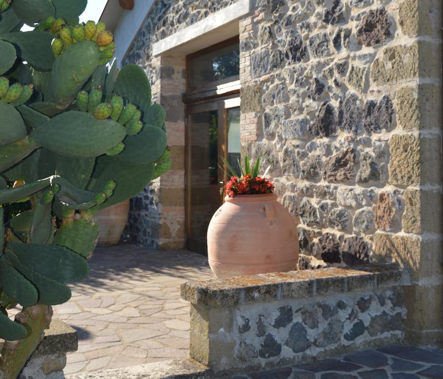 Tenuta Di Pontesodo Montalto di Castro Buitenkant foto