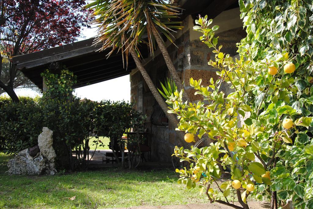 Tenuta Di Pontesodo Montalto di Castro Buitenkant foto
