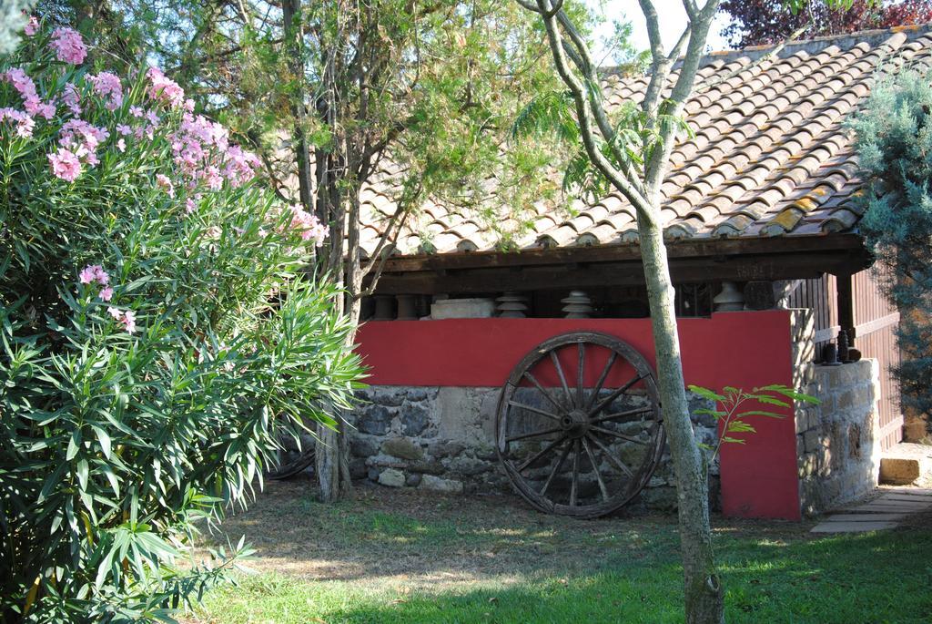 Tenuta Di Pontesodo Montalto di Castro Buitenkant foto